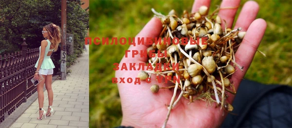 mix Новокубанск