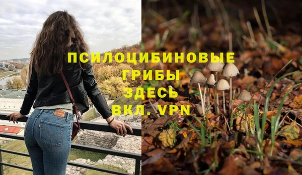 PSILOCYBIN Няндома
