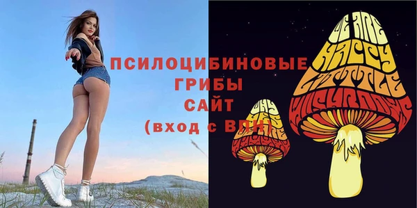 эйфоретик Нягань