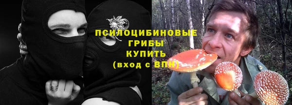 гашик Нязепетровск